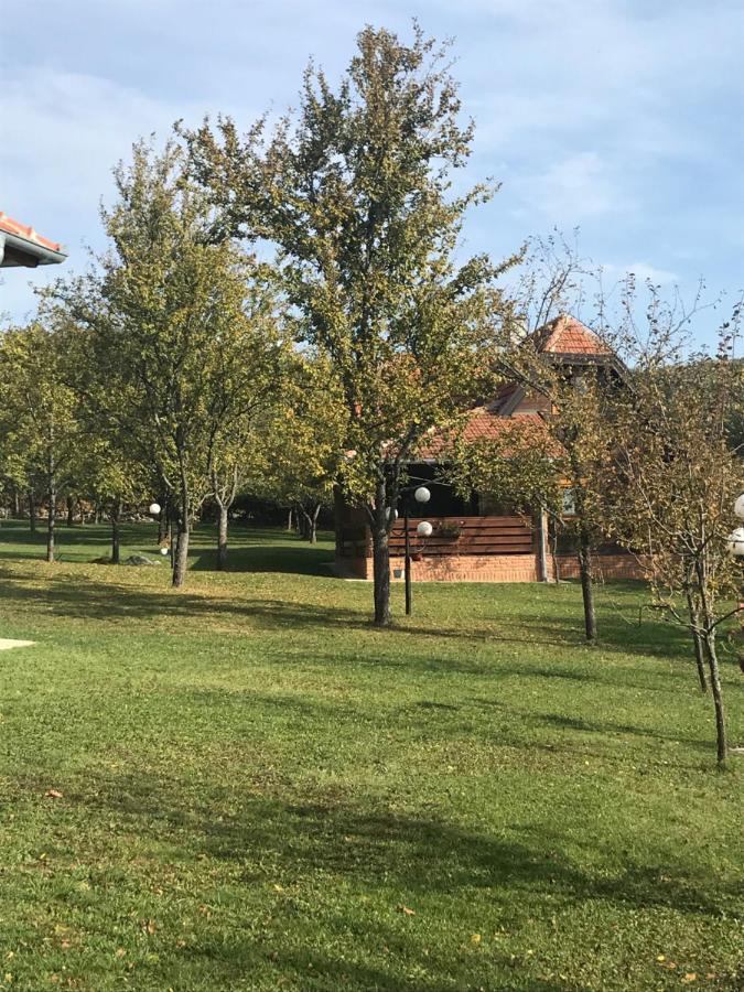Seosko Domacinstvo Bondzulic Διαμέρισμα Užice Εξωτερικό φωτογραφία