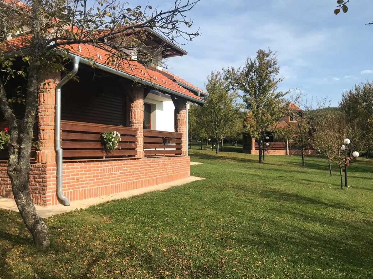 Seosko Domacinstvo Bondzulic Διαμέρισμα Užice Εξωτερικό φωτογραφία